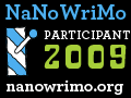 NaNoWriMo 3